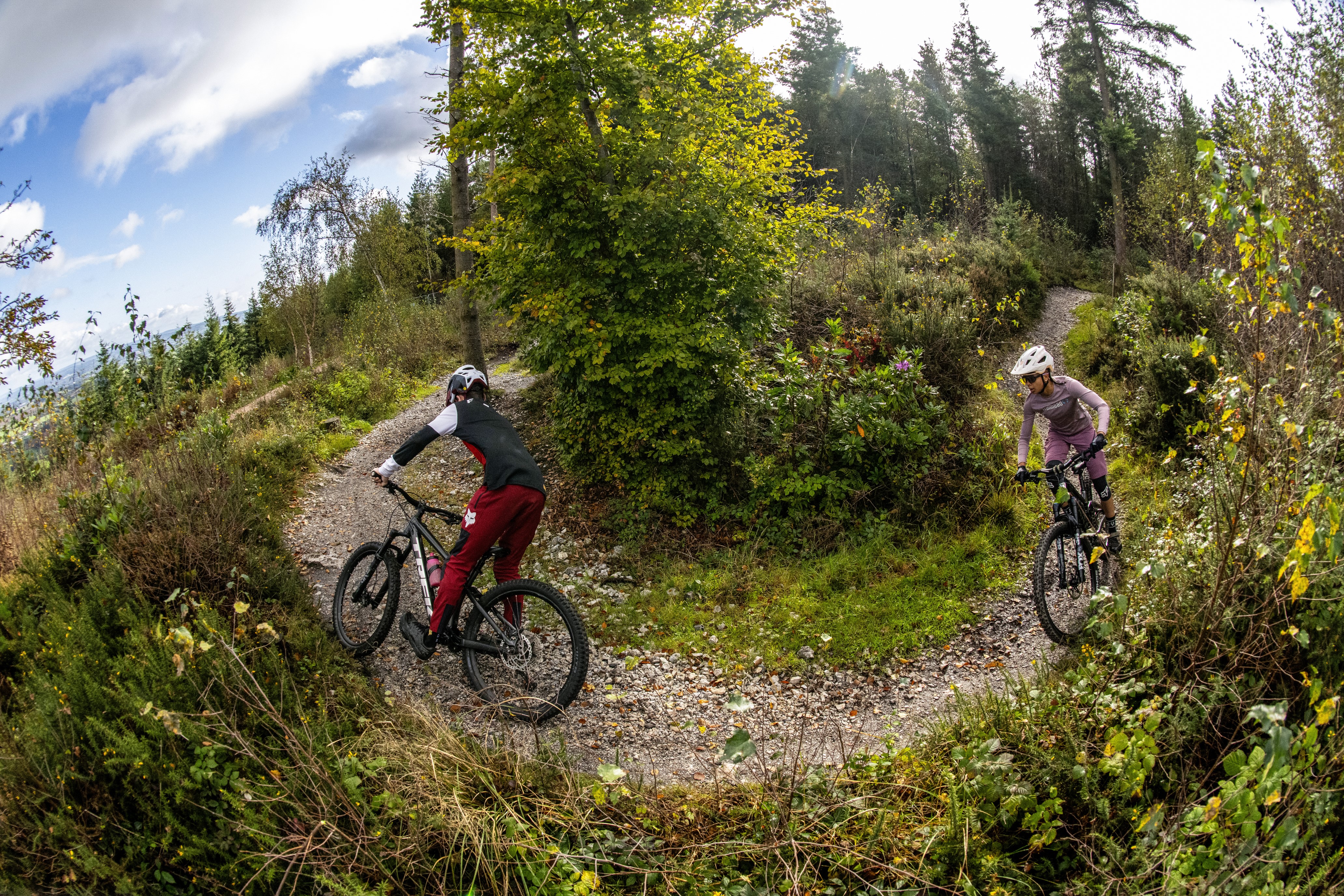 Haldon forest bike trails online